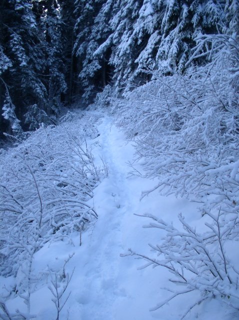 11.27.05 Nesmith Point 075 